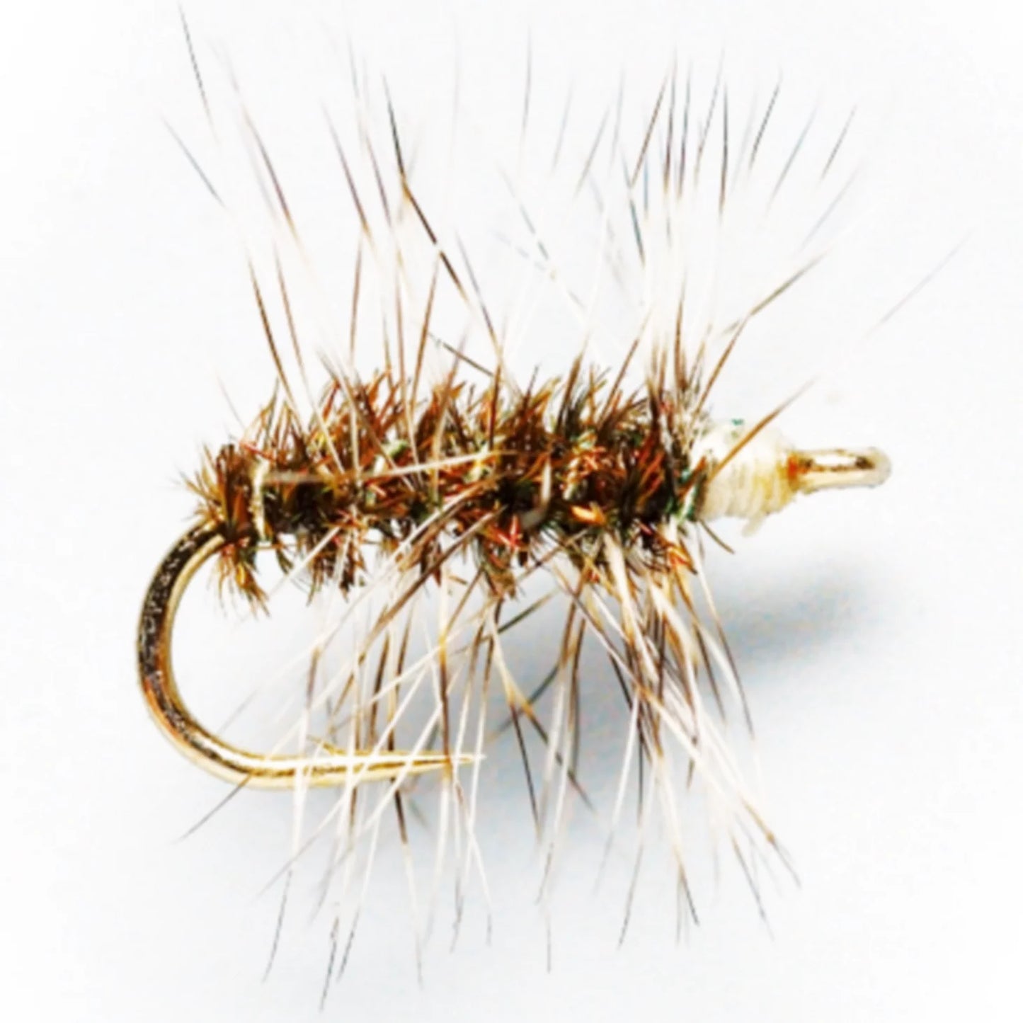 Orvis Popular Choice - Griffith's Gnat
