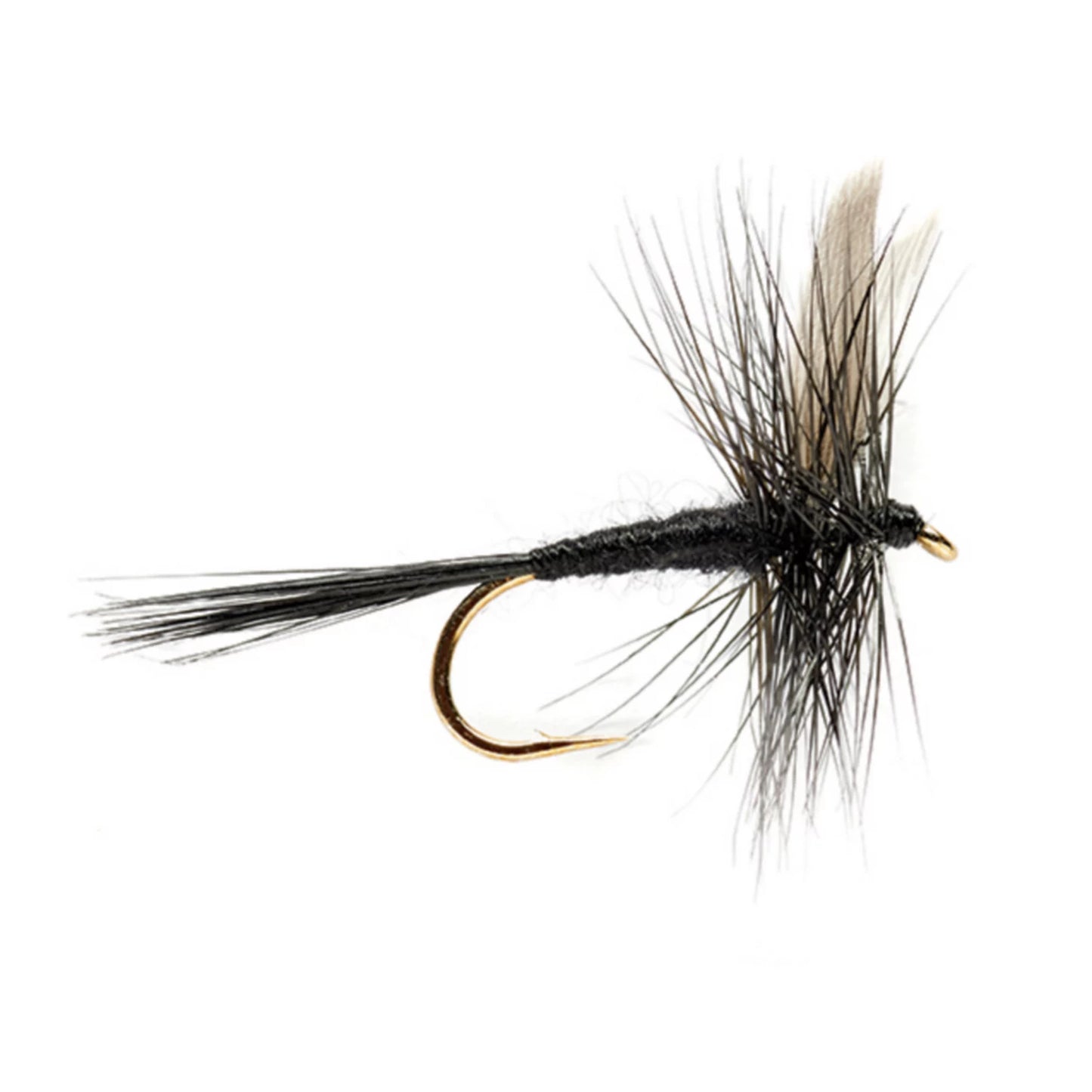 Orvis Best Seller - Black Gnat