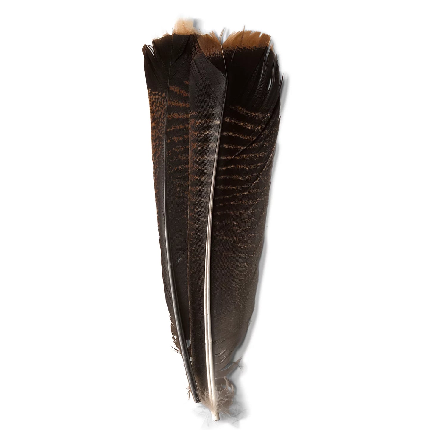 Orvis Value - Mottled Turkey Feathers