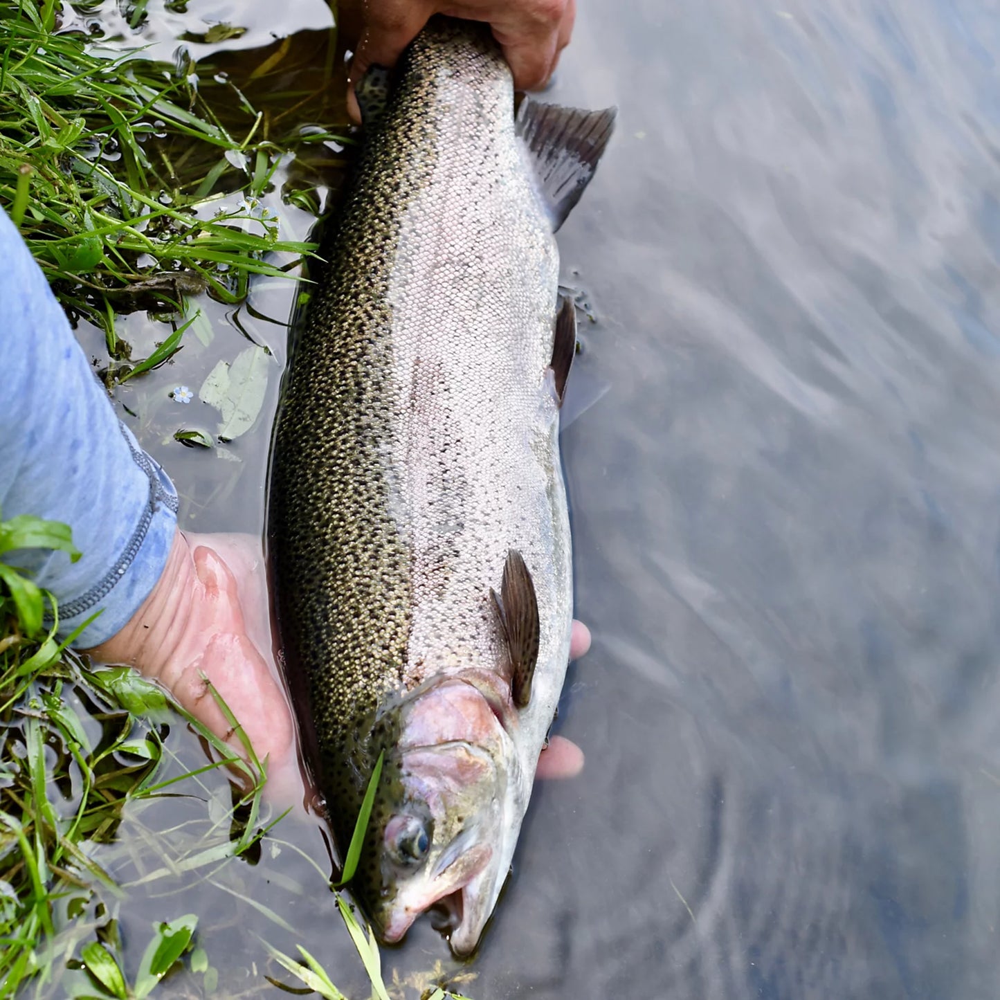 Orvis Best Seller - Clyde, Ohio Fly Fishing School
