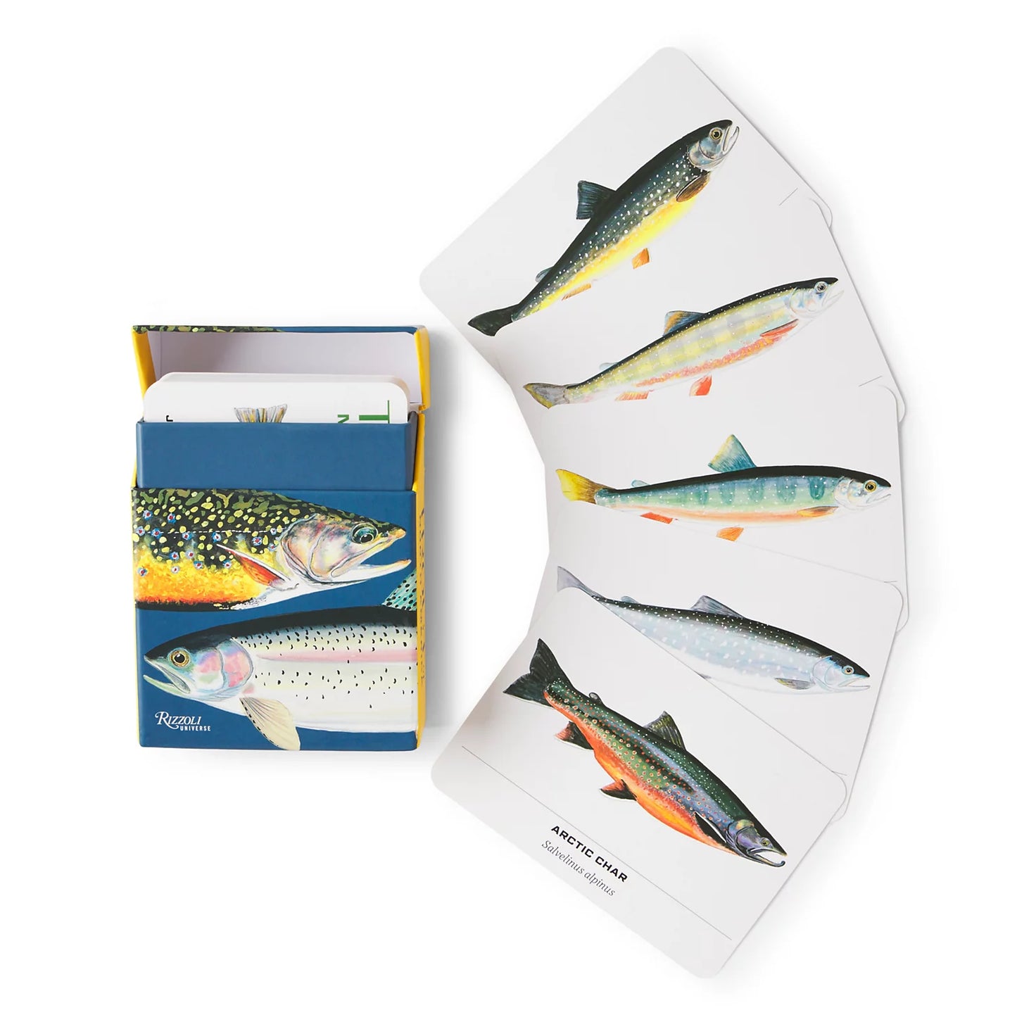 Orvis Value - Trout of North America Cards