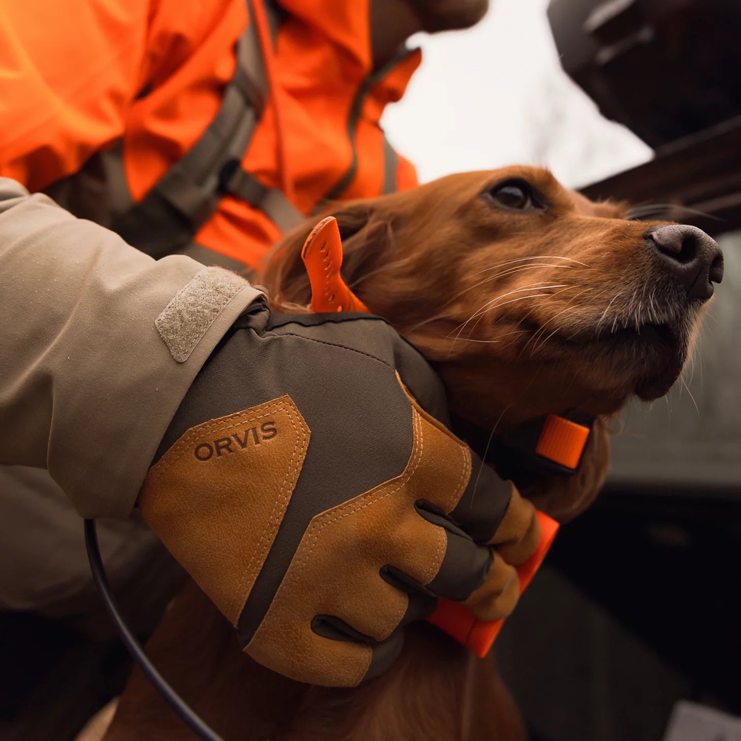 Orvis Great Deal - PRO Waterproof Hunting Gloves