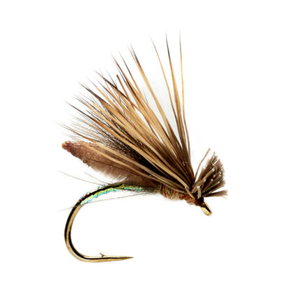 Orvis Special Offer - Palomino Caddis