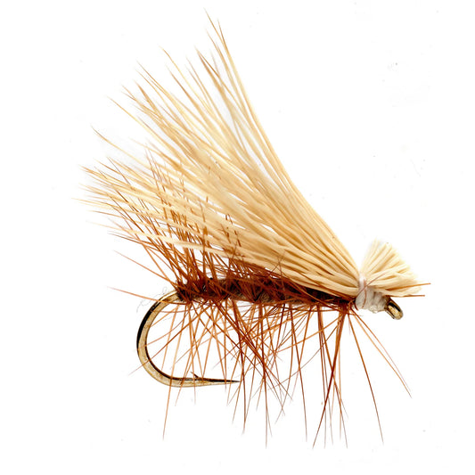 Orvis Featured - Elk Wing Caddis