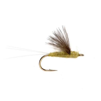 Orvis Popular Choice - RS2