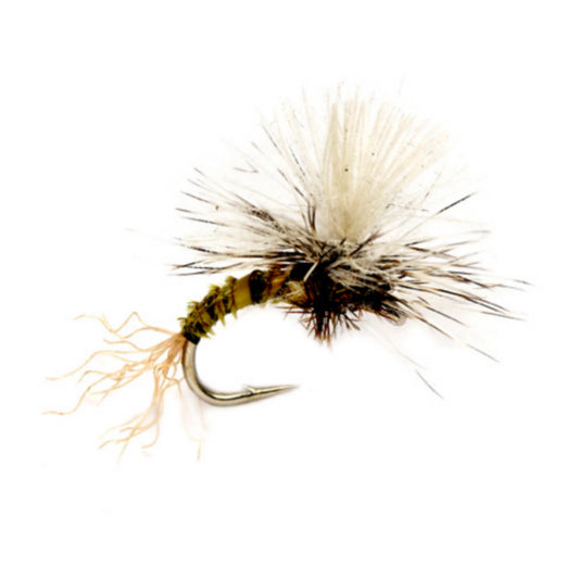 Orvis Affordable - Birchell's Hatching Midge