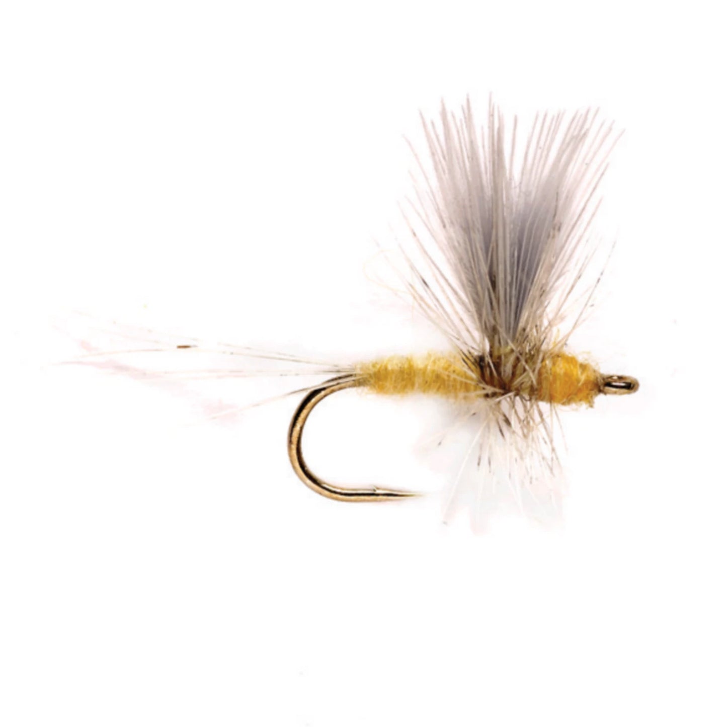 Orvis Featured - Pale Morning Dun Thorax