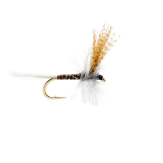 Orvis Popular Choice - Quill Gordon