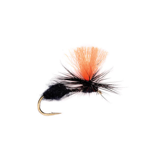 Orvis Featured - Travis Para Ant