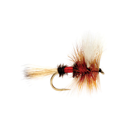 Orvis Budget Friendly - Royal Wulff
