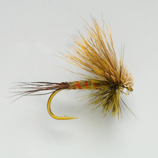 Orvis Customer Favorite -Hairwing Western Green Drake