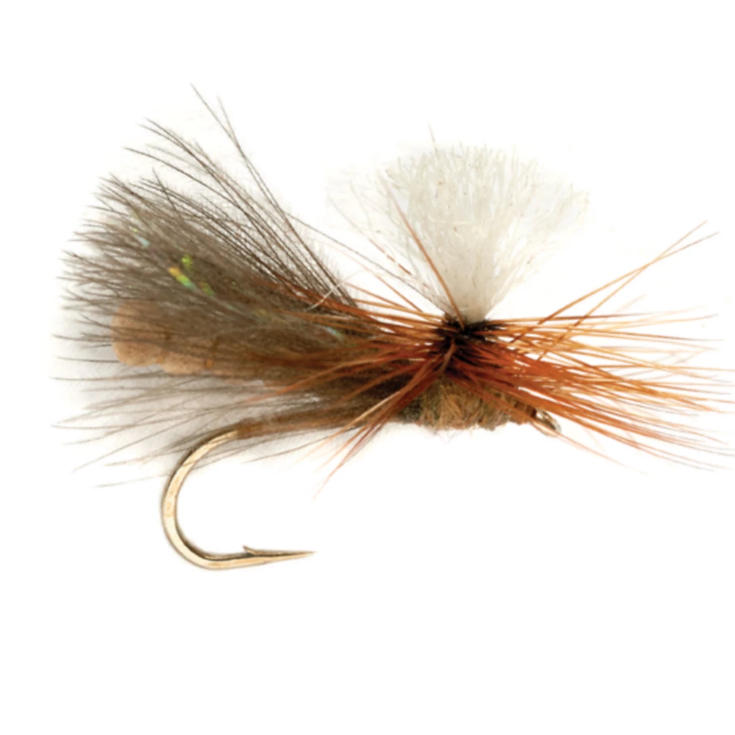 Orvis Affordable - NBK Caddis Dry
