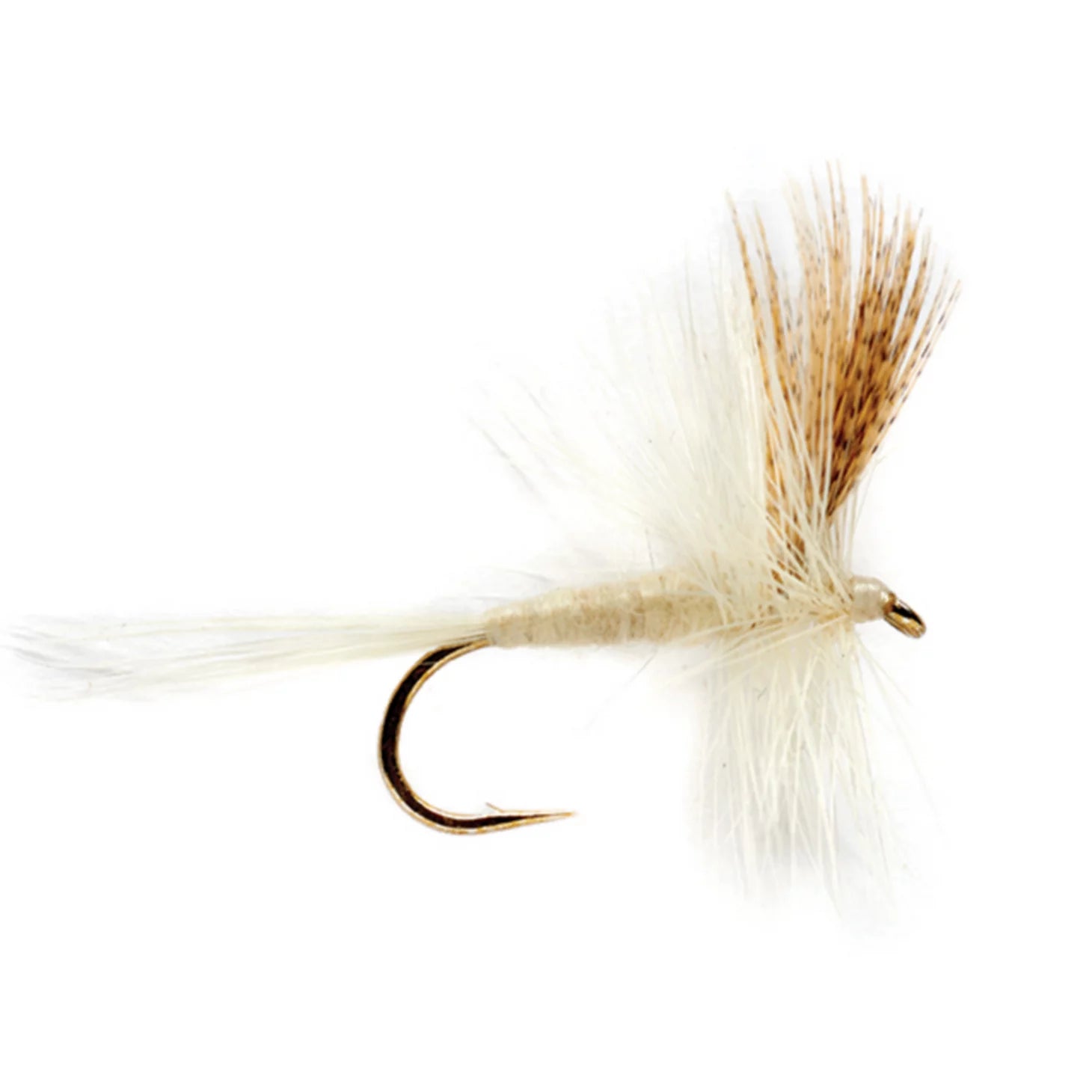 Orvis Featured - Light Cahill