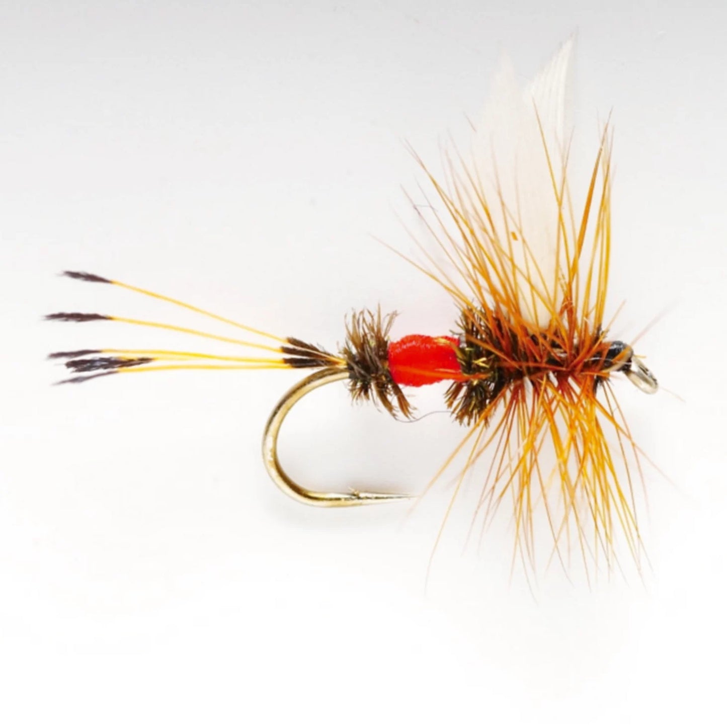 Orvis Value - Royal Coachman