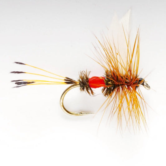 Orvis Value - Royal Coachman