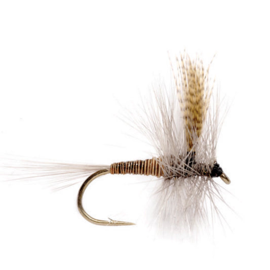 Orvis Special Offer - Red Quill