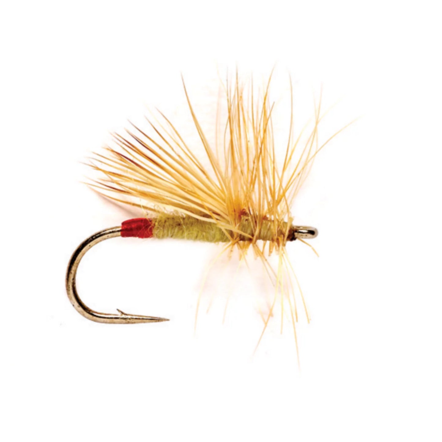 Orvis Featured - Yellow Sally