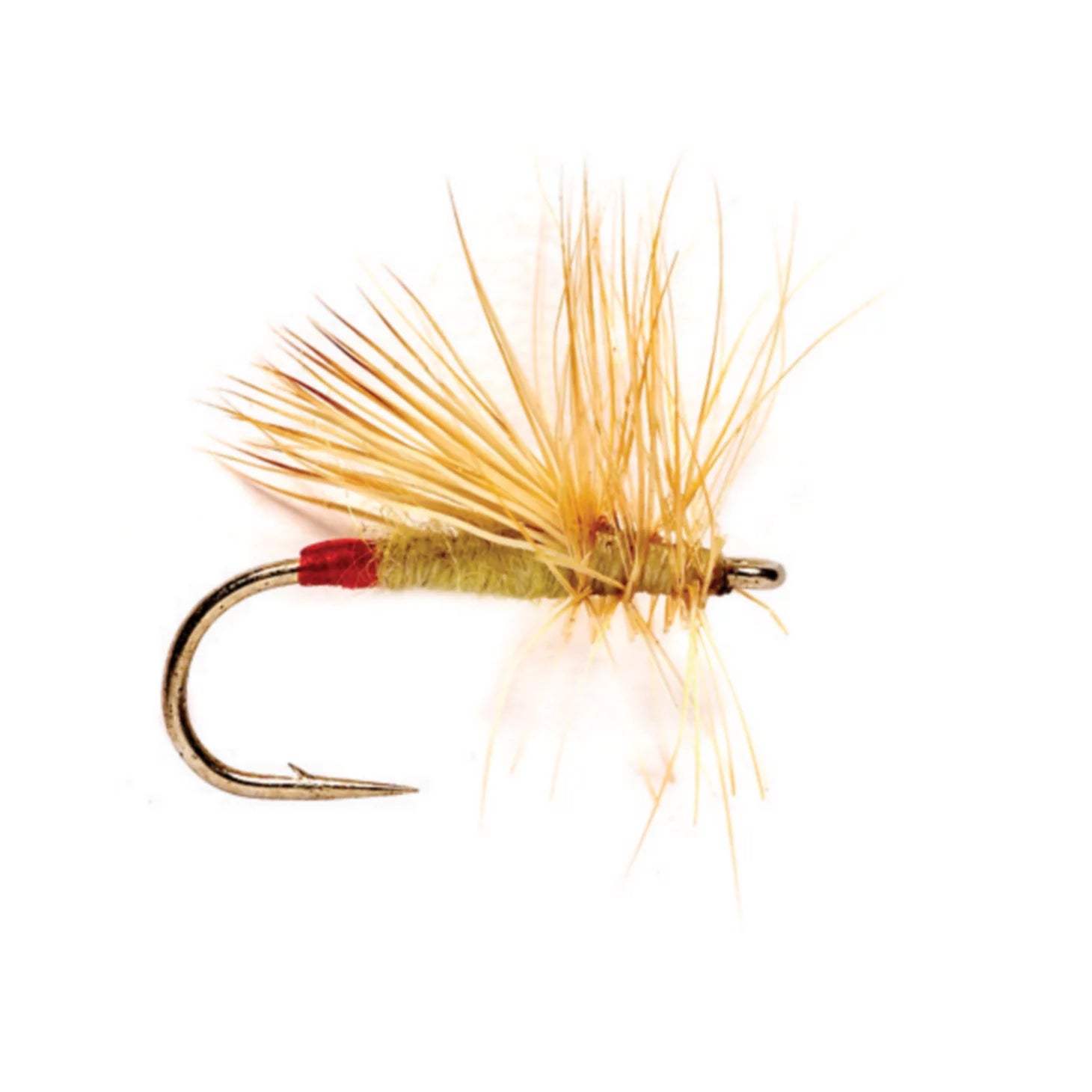 Orvis Featured - Yellow Sally