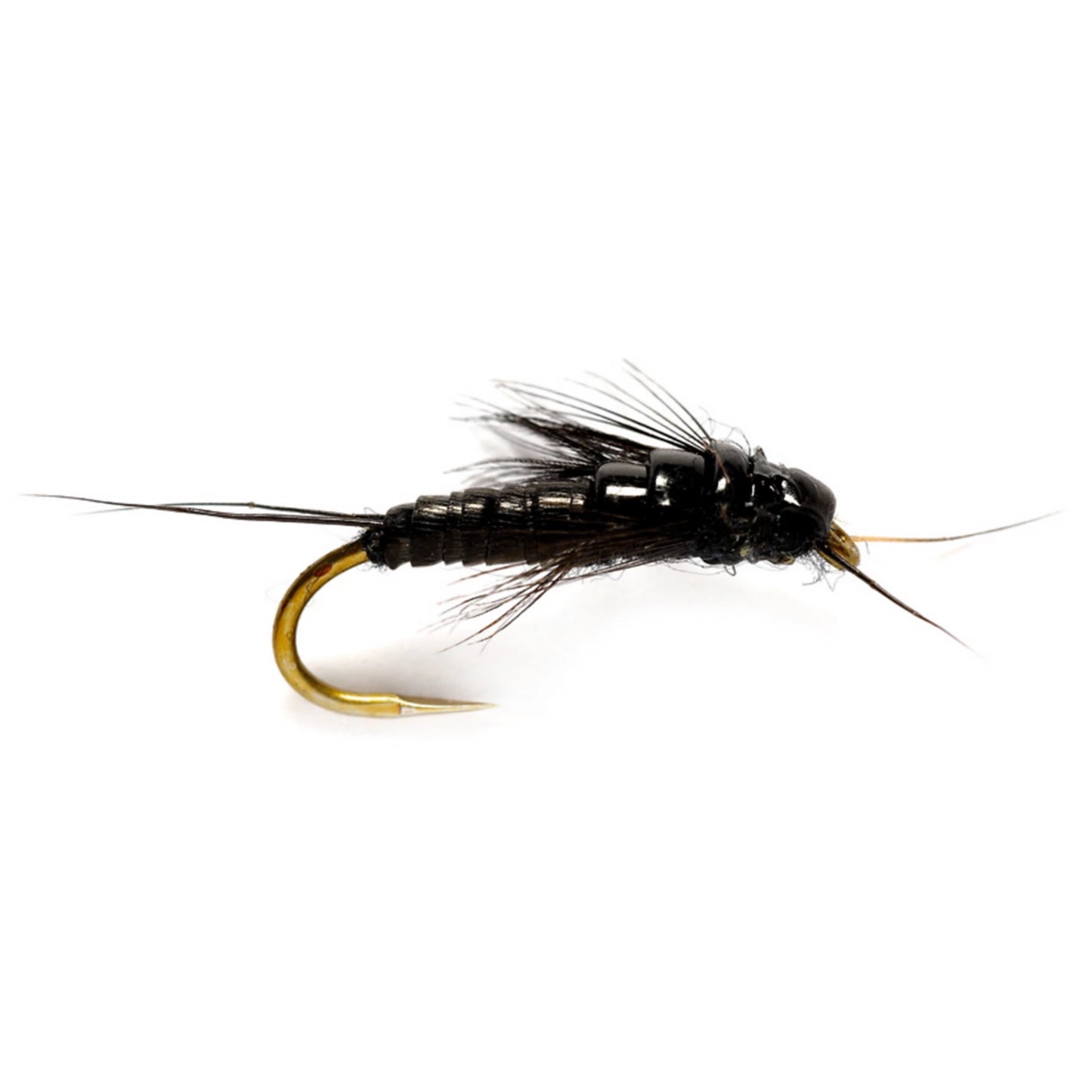 Orvis Featured - Little Black Stonefly