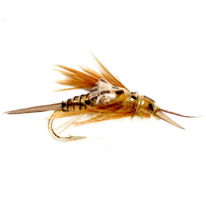 Orvis Popular Choice - OE Stonefly Nymph