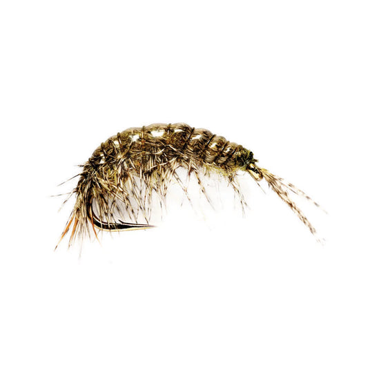 Orvis Popular Choice - Oliver Edward's Freshwater Shrimp