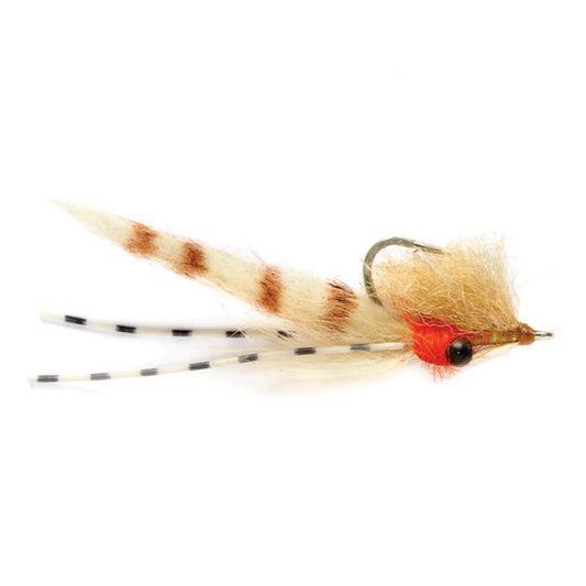 Orvis Value - Bone Voyage