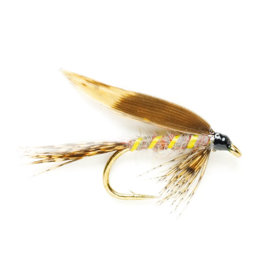 Orvis Special Offer - March Brown Wet