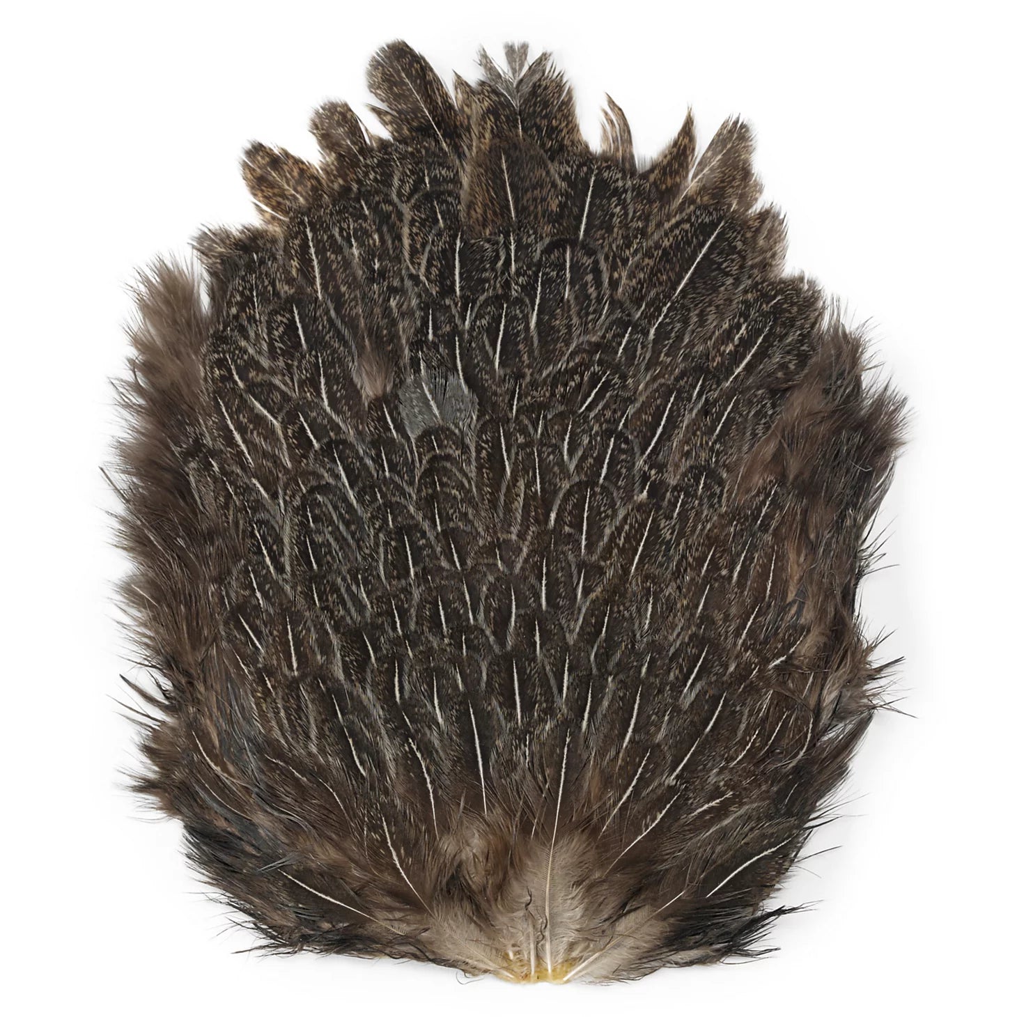 Orvis Budget Friendly - India Hen Backs