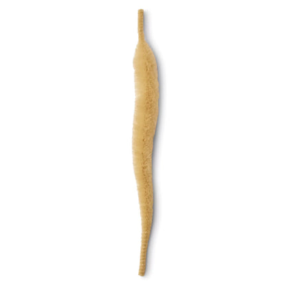 Orvis Great Deal - Mangum's Mini Dragon Tail