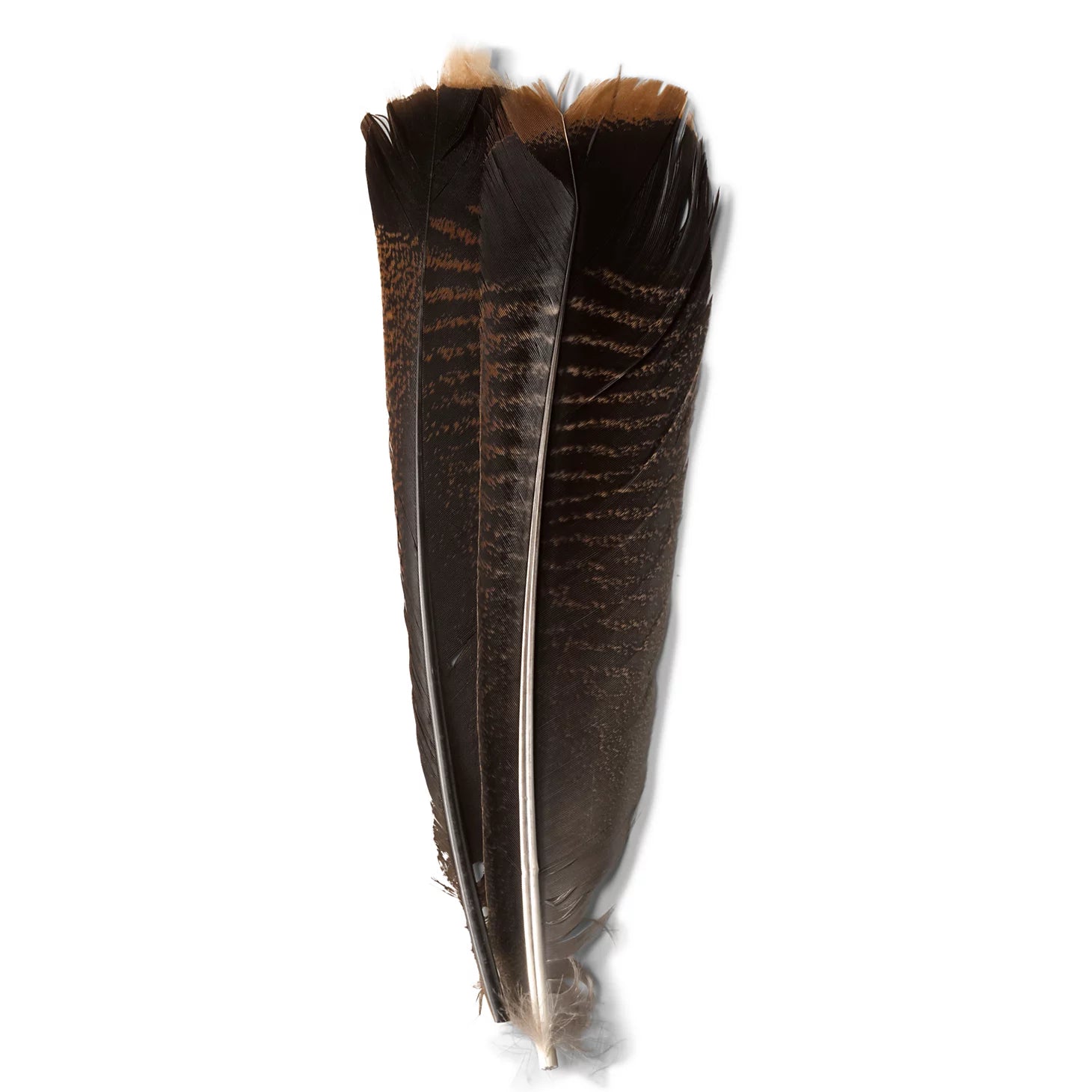 Orvis Value - Mottled Turkey Feathers