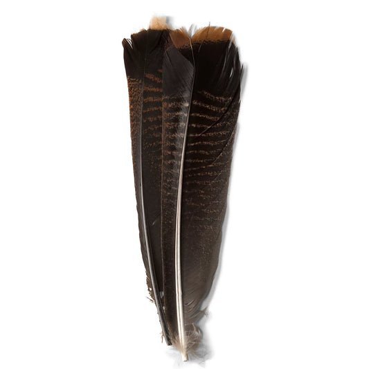Orvis Value - Mottled Turkey Feathers