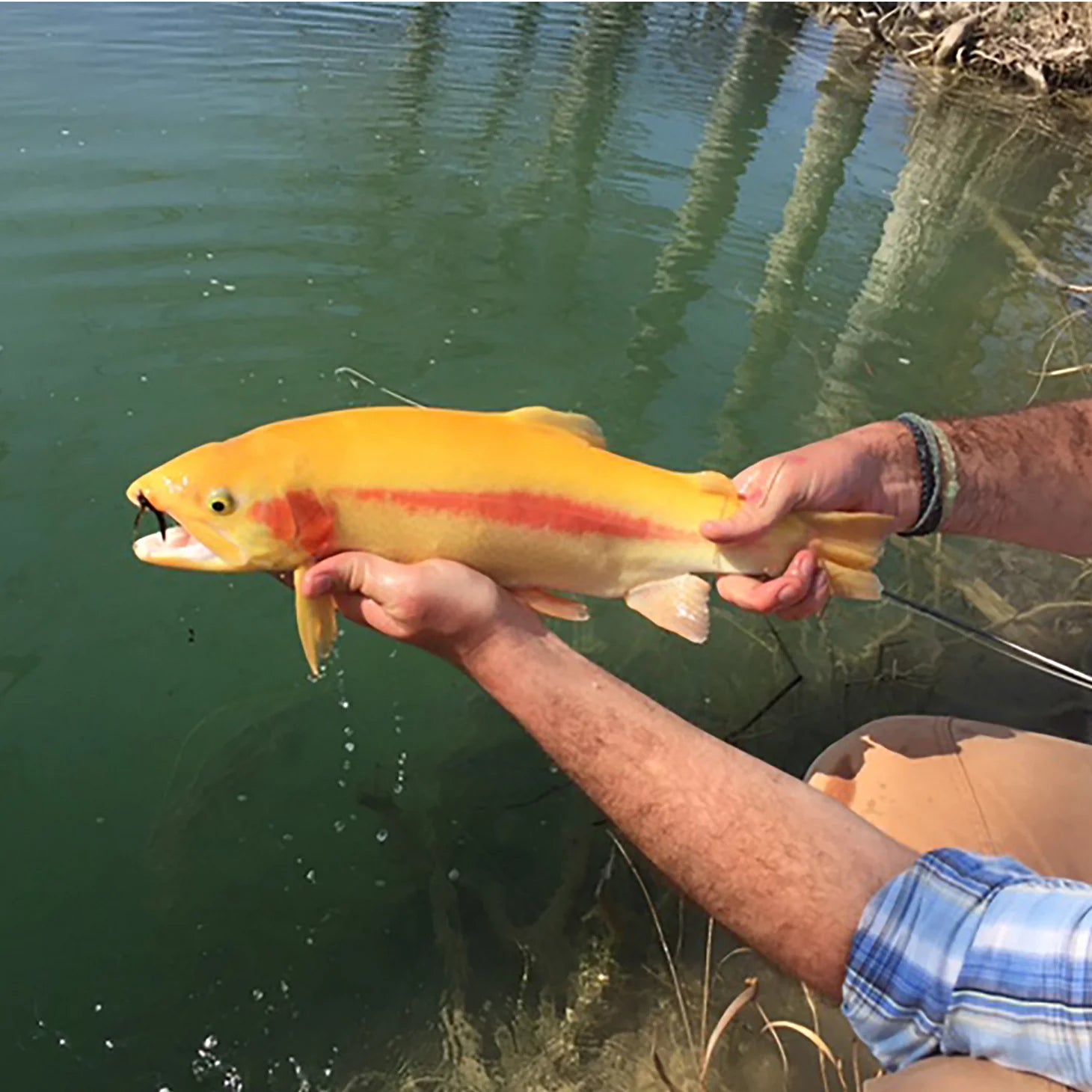 Orvis Value - Boerne, Texas Hill Country Fly Fishing School Hosted By Joshua Creek Ranch