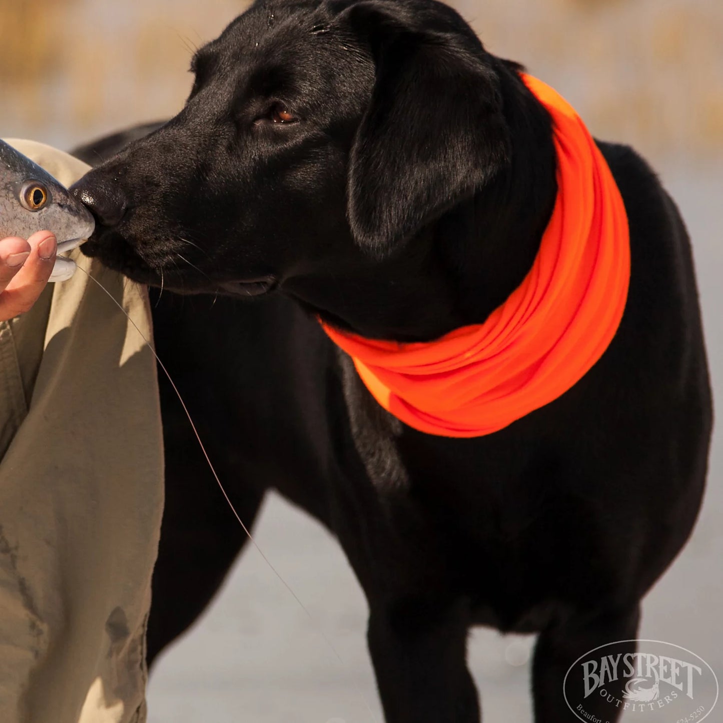 Orvis Limited Edition -Lowcountry Saltwater Fishing School, SC