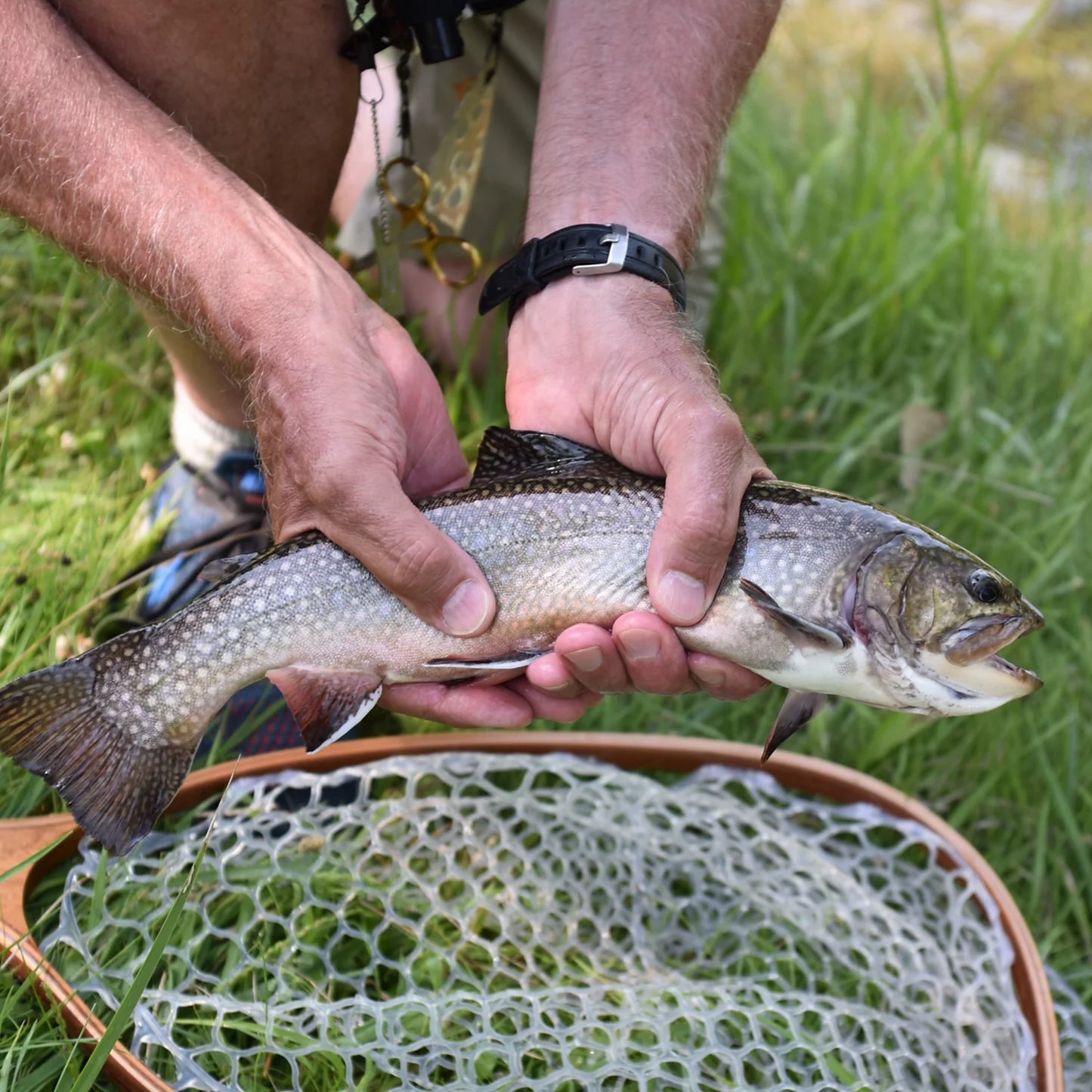 Orvis Best Seller - Clyde, Ohio Fly Fishing School