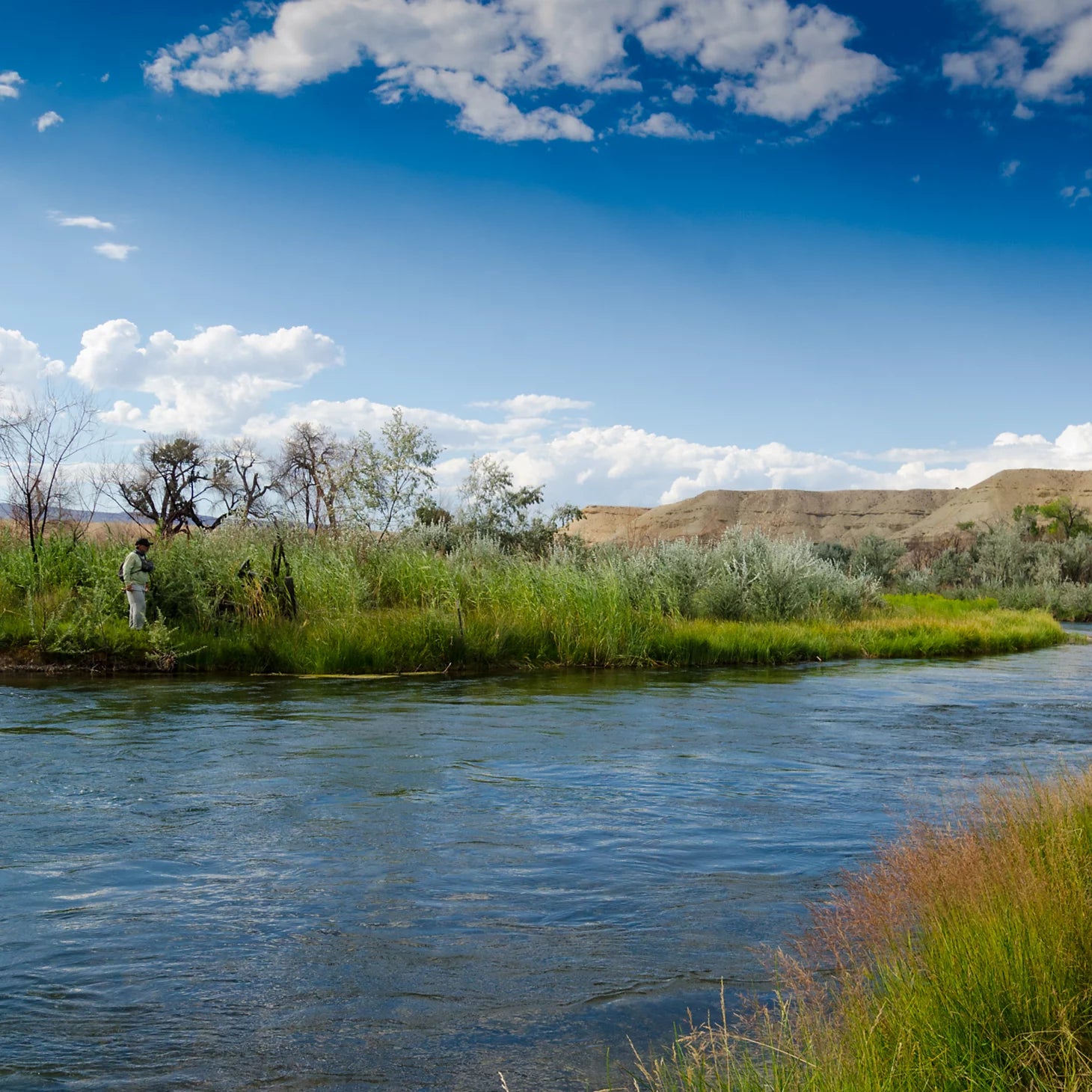 Orvis Customer Favorite -Trout School At Falcon's Ledge, Utah