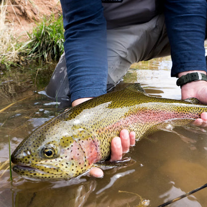 Orvis Customer Favorite -Trout School At Falcon's Ledge, Utah