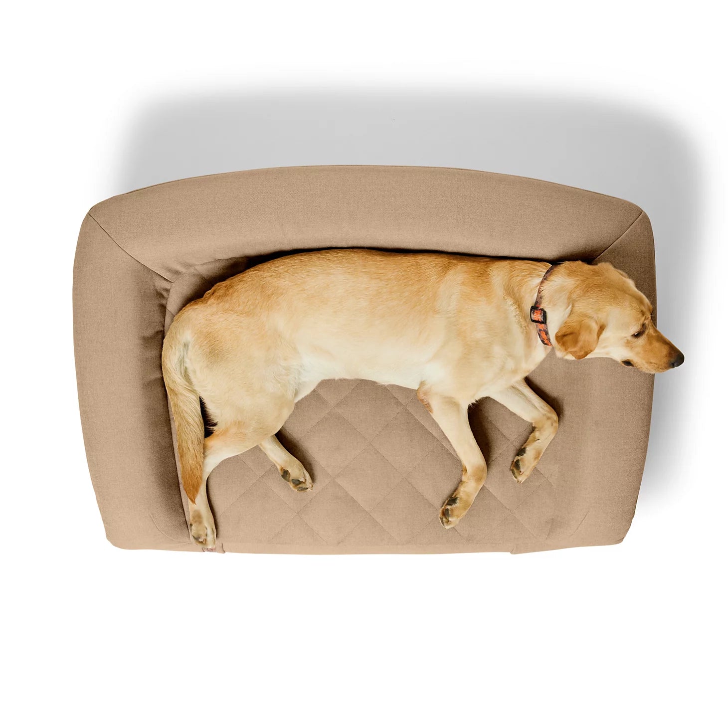 Orvis Affordable - Orvis RecoveryZone® ToughChew® Couch Dog Bed