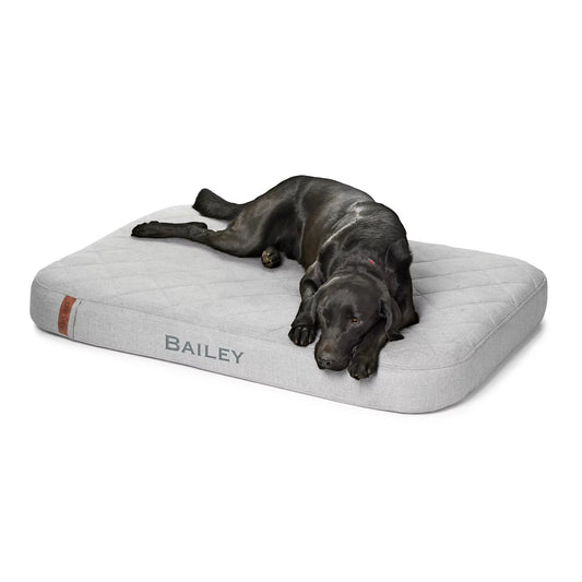 Orvis Budget Friendly - Orvis RecoveryZone® Lounger Dog Bed