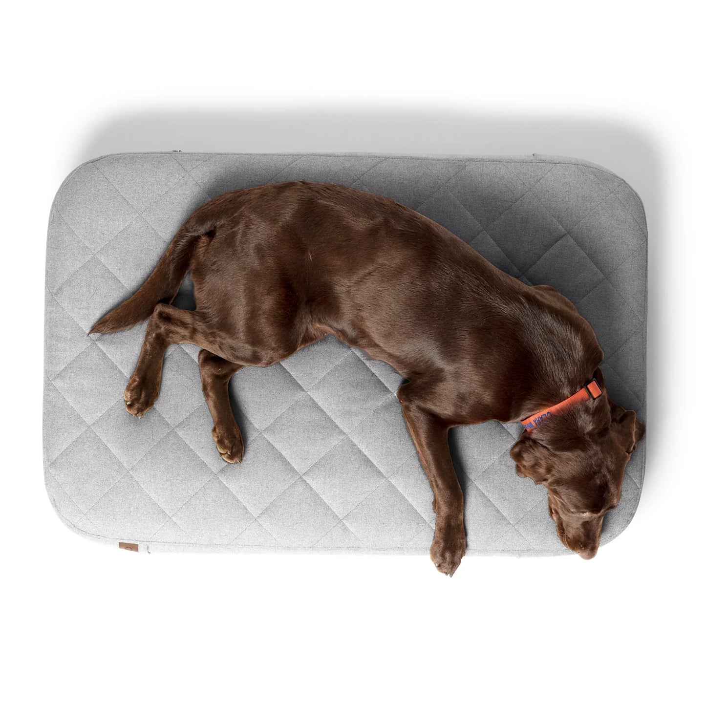 Orvis Budget Friendly - Orvis RecoveryZone® Lounger Dog Bed