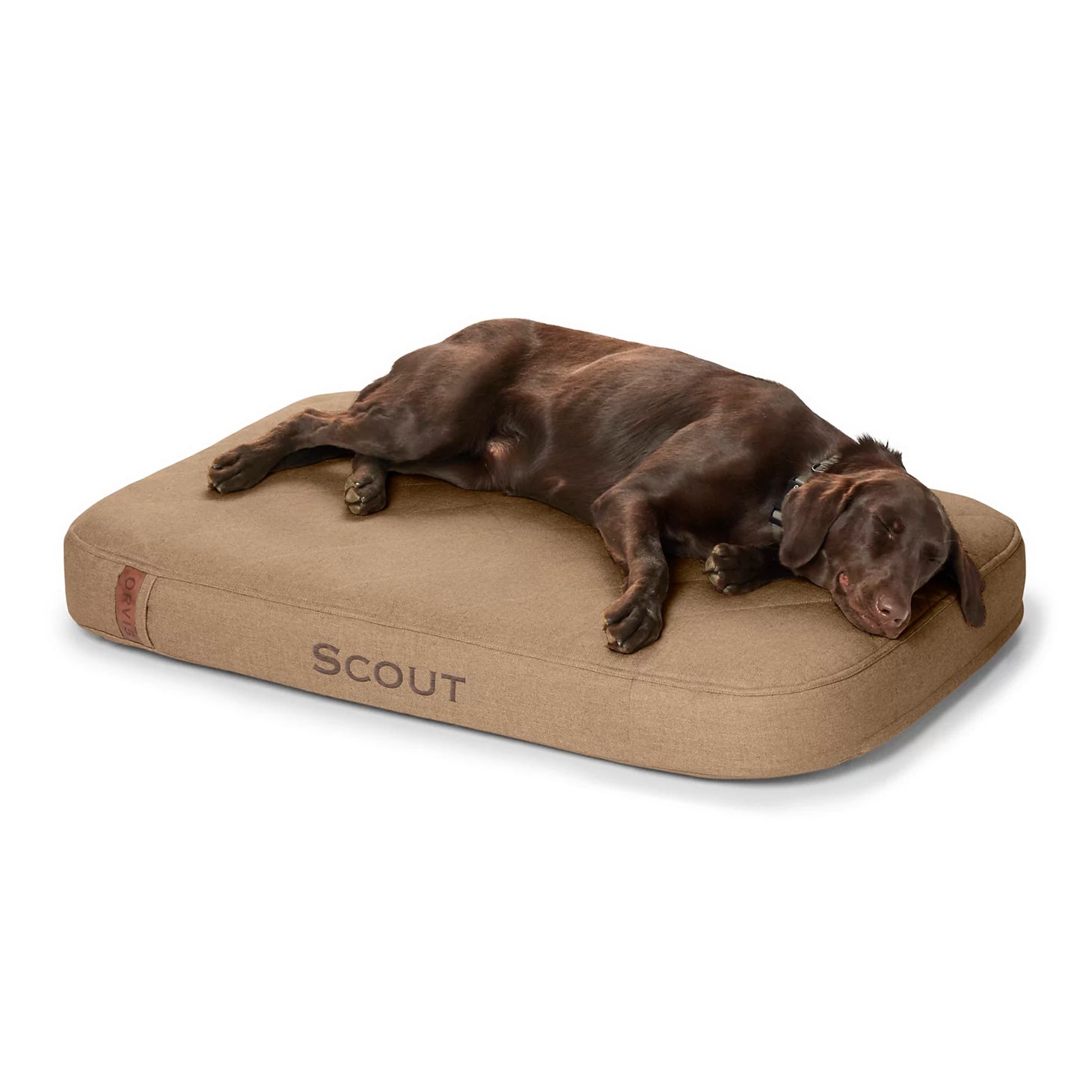Orvis Great Deal - Orvis RecoveryZone® ToughChew® Lounger Dog Bed