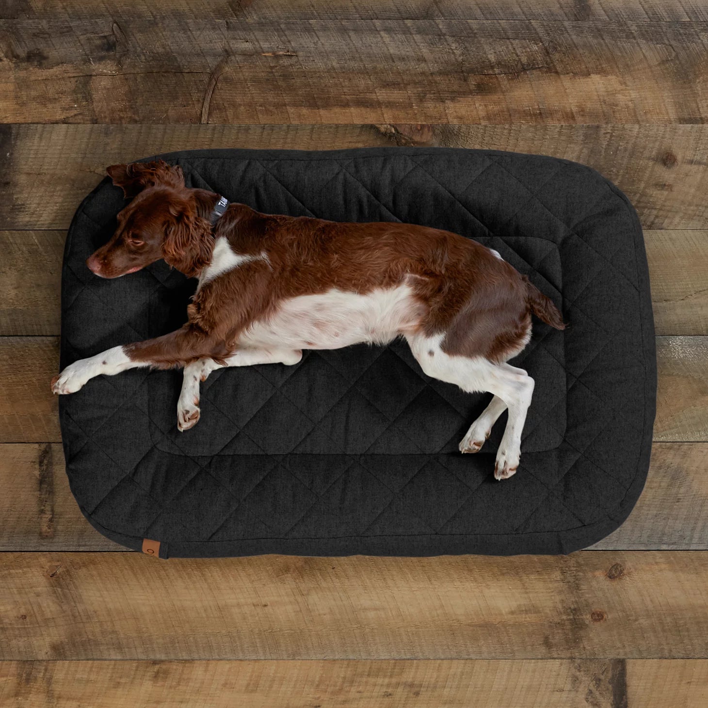 Orvis Featured - Memory Foam Lounger Dog Bed