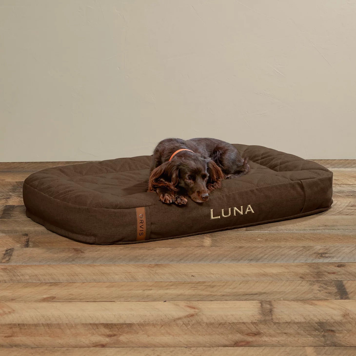Orvis Popular Choice - ToughChew® Memory Foam Lounger Dog Bed