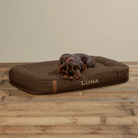 Orvis Popular Choice - ToughChew® Memory Foam Lounger Dog Bed