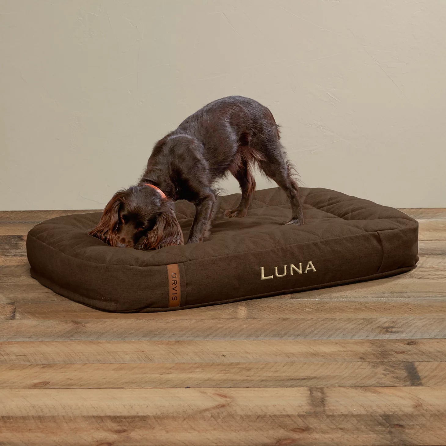 Orvis Popular Choice - ToughChew® Memory Foam Lounger Dog Bed