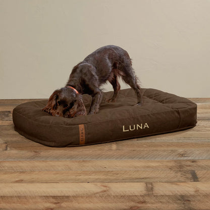 Orvis Popular Choice - ToughChew® Memory Foam Lounger Dog Bed