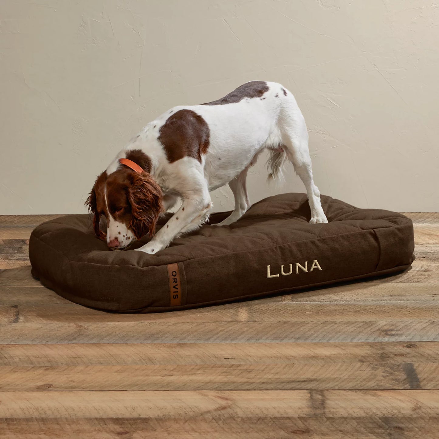 Orvis Popular Choice - ToughChew® Memory Foam Lounger Dog Bed