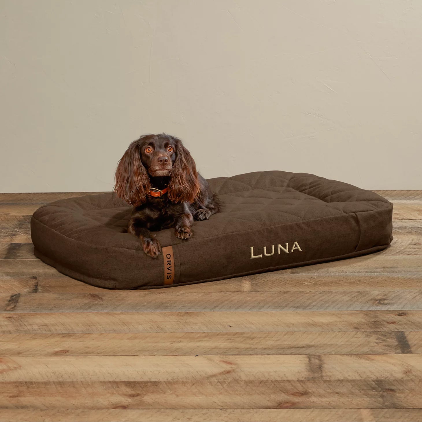 Orvis Popular Choice - ToughChew® Memory Foam Lounger Dog Bed