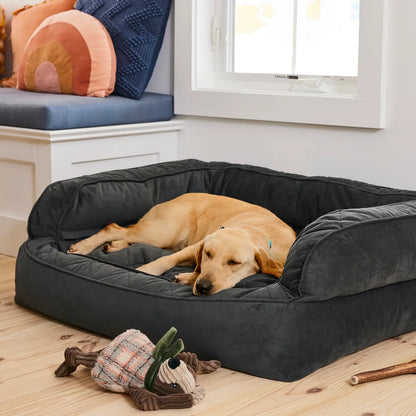 Orvis Customer Favorite -Orvis Memory Foam Deluxe Dog Bed