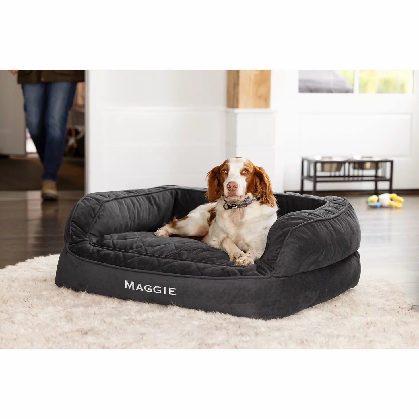 Orvis Customer Favorite -Orvis Memory Foam Deluxe Dog Bed