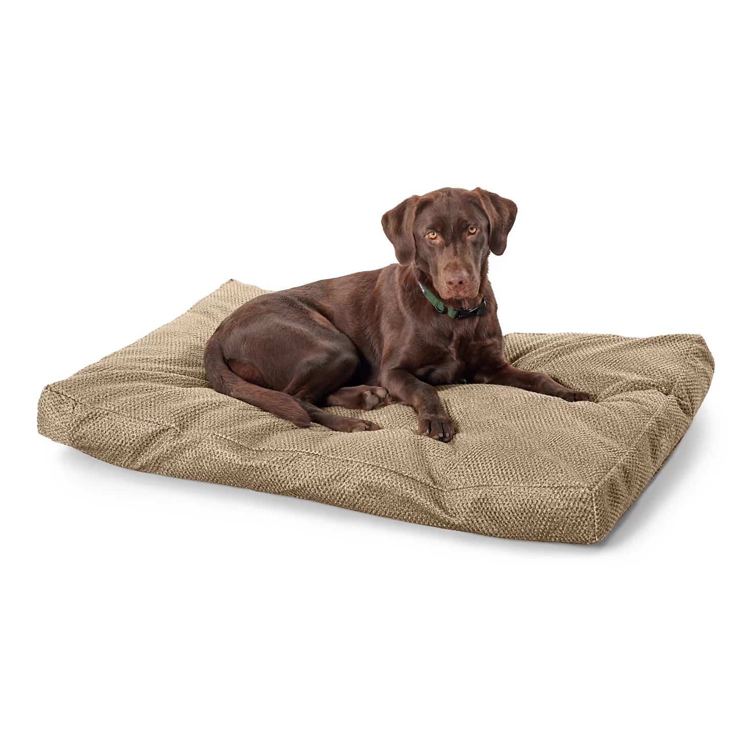 Orvis Great Deal - Orvis ComfortFill-Eco® Lounger Dog Bed